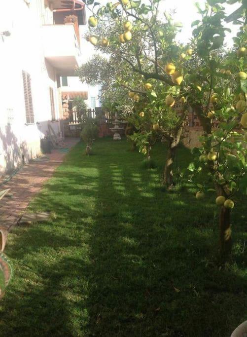 Su Suergiu Villa ซานโจวานนีซูแอร์จู ภายนอก รูปภาพ